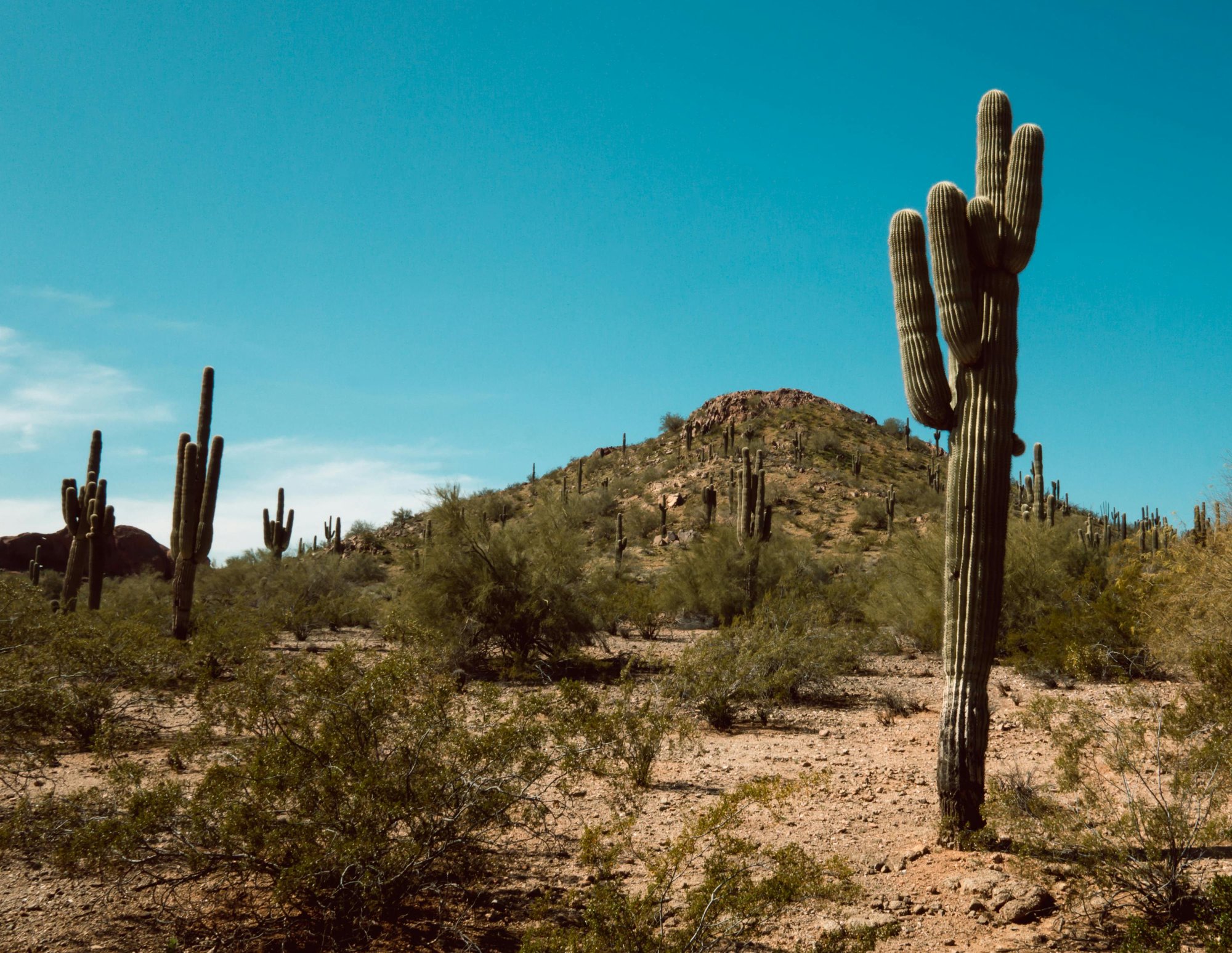 Tucson